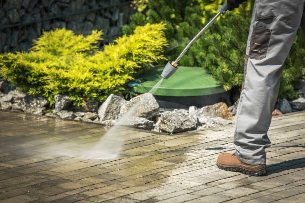Best Boat and Dock Cleaning  in Lake Delta, NY