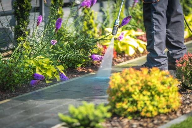 Lake Delta, NY Pressure Washing Services Company