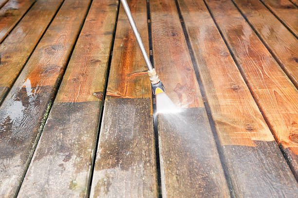 Best Dumpster Area Cleaning  in Lake Delta, NY